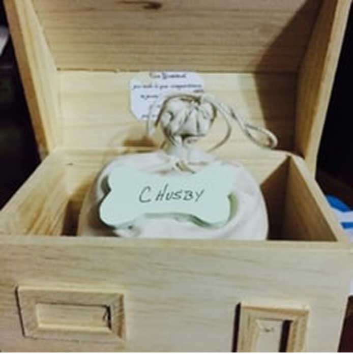 HORTA CREMACIÓN DE MASCOTAS - Recuperación de cenizas