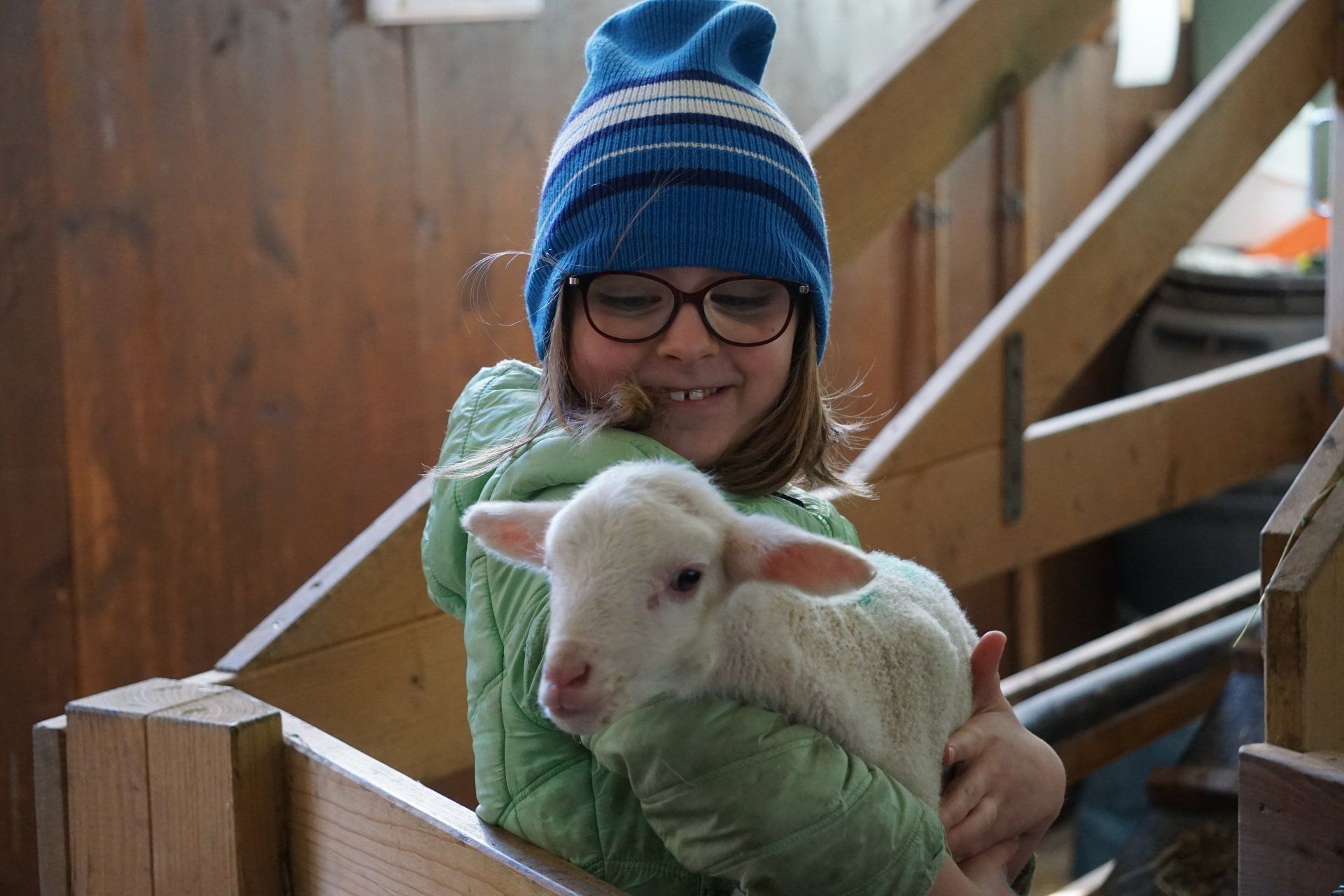 Lämmchen wird gehalten