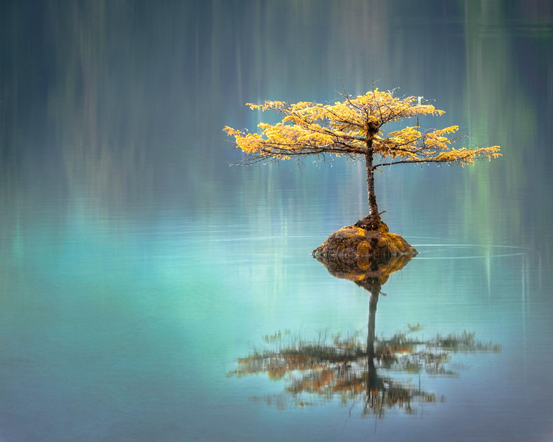 Physical, Mental, Emotional and Spiritual benefits of reiki - Amare Reiki