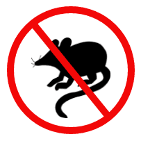 Mice or Rat Removal Columbia South Carolina, Blythewood Wild life Removal, Animal Control