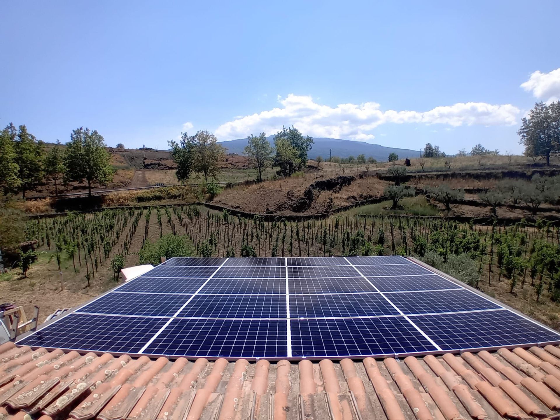 Private house plant Etna