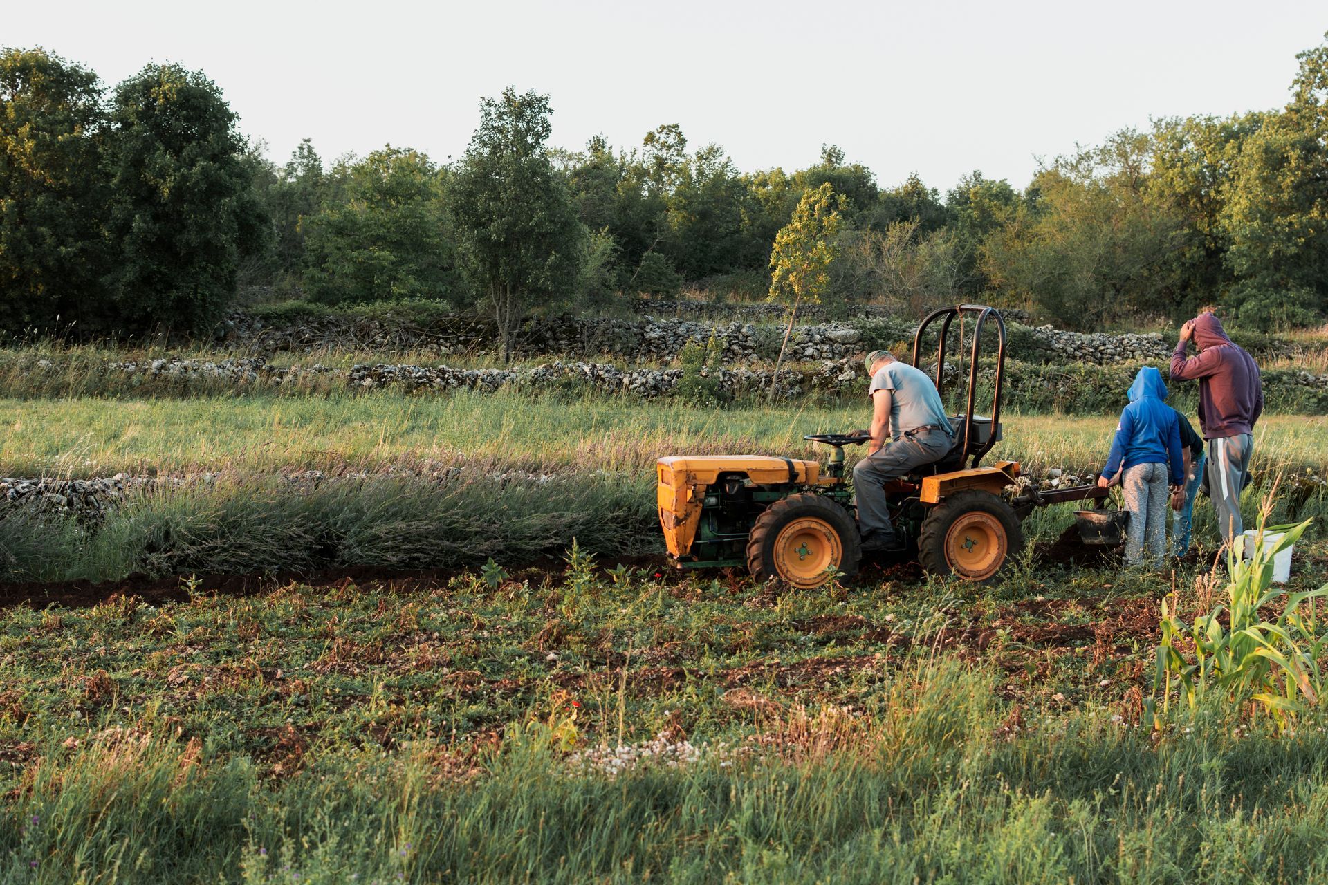 A farmer and his sons take a break from their loud, strenuous work to avoid hearing loss risks.