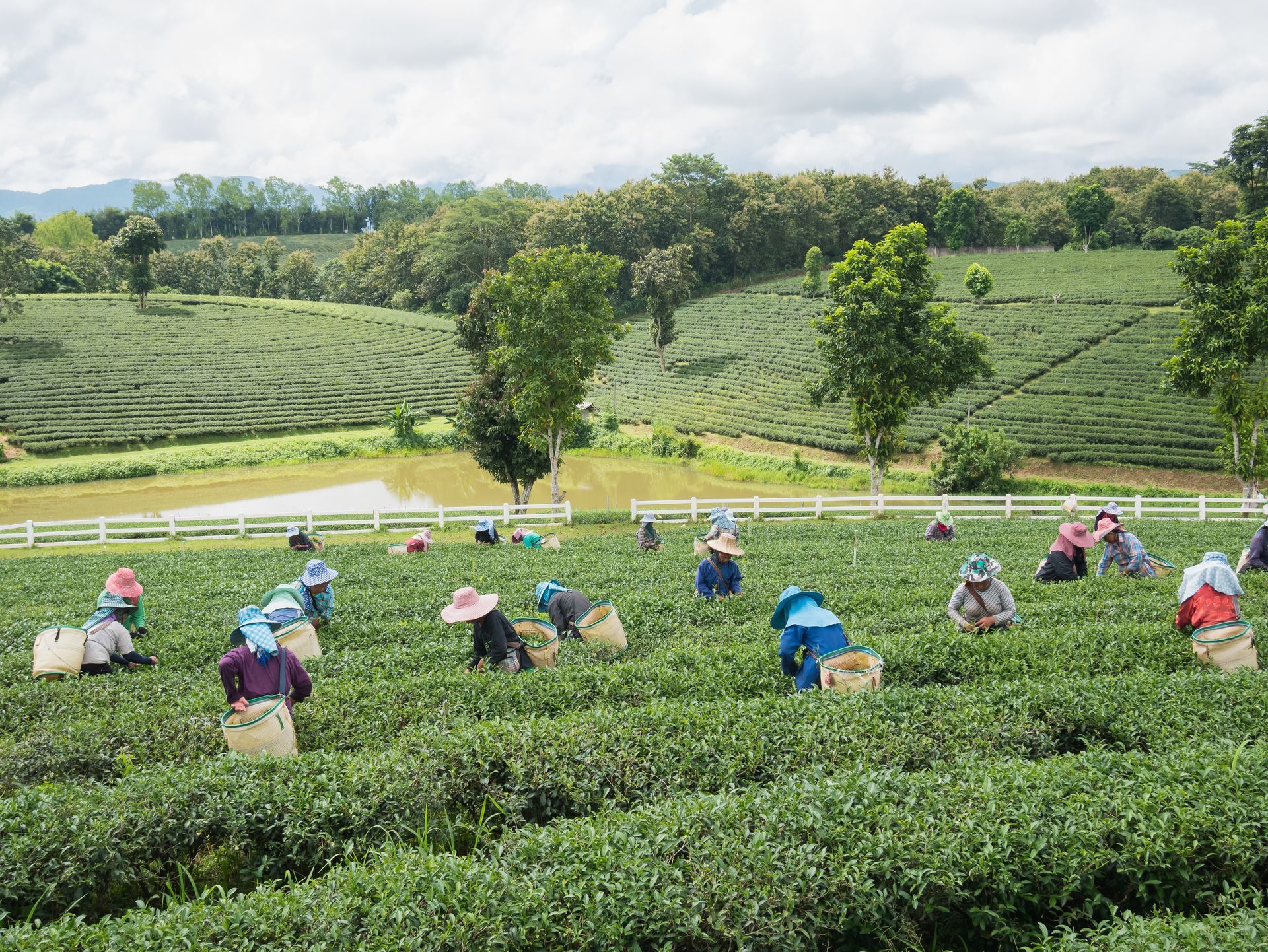 farmers and wellness