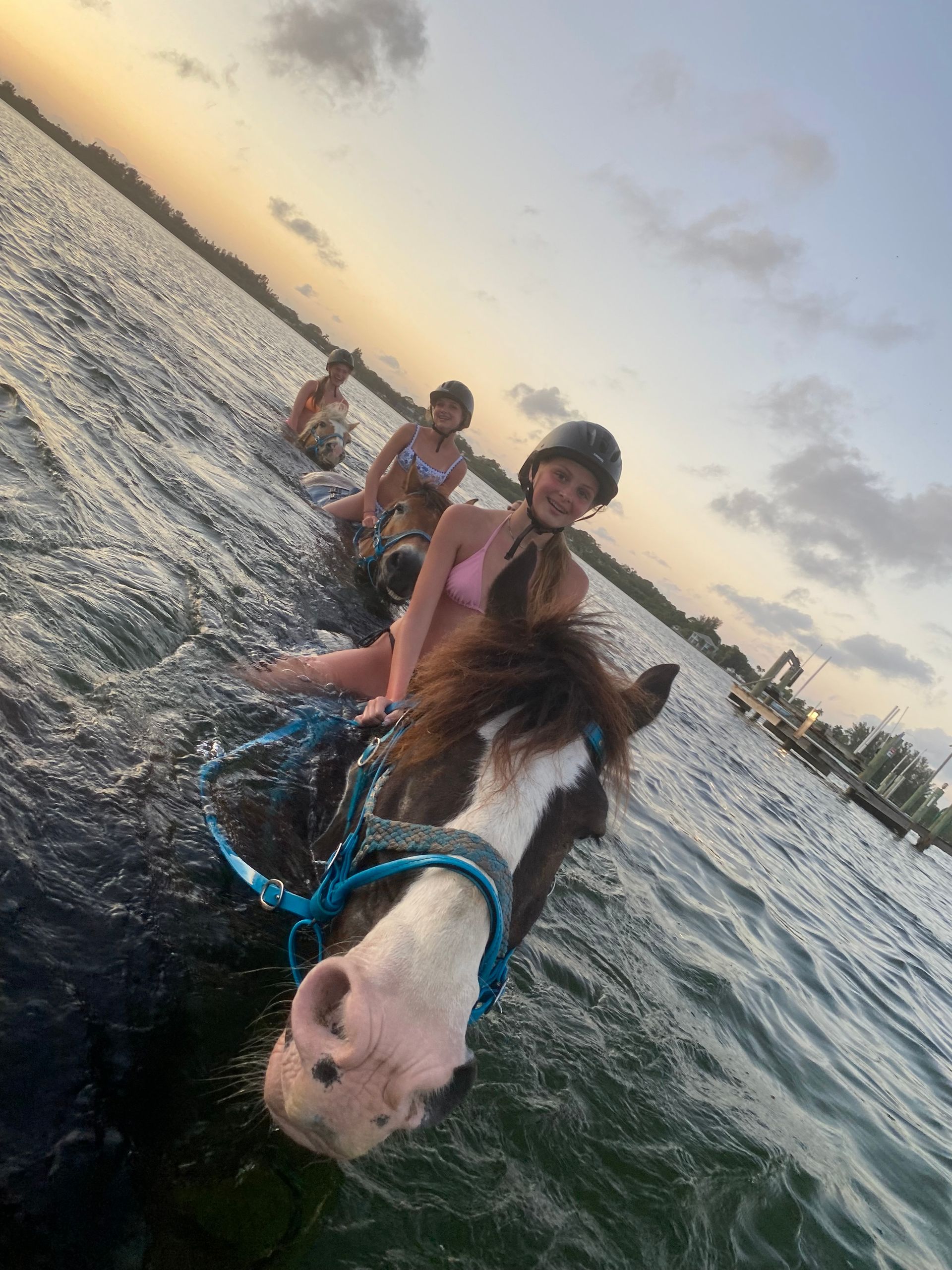 horse standing water