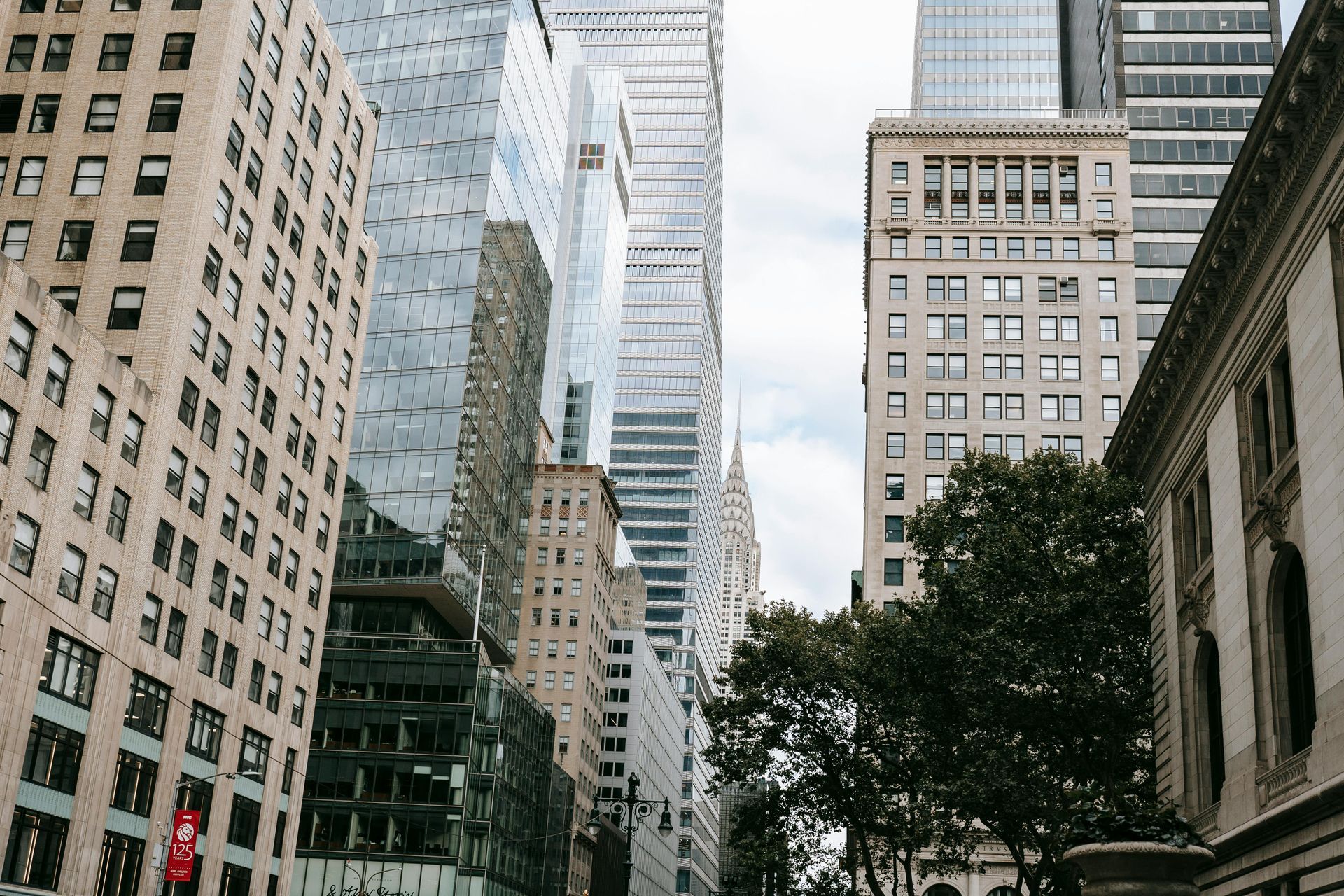 A city street with a lot of tall buildings and trees.