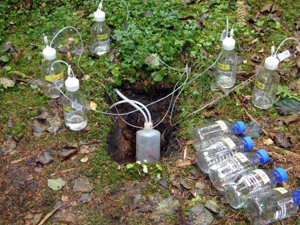 prelievo dei campioni