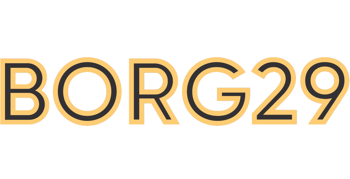 BORG29 logo
