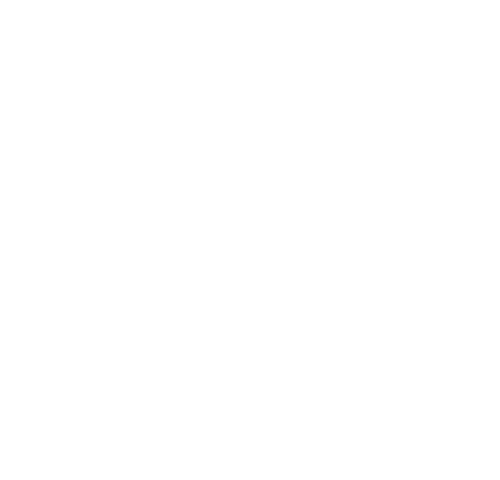 S&S Properties logo - white