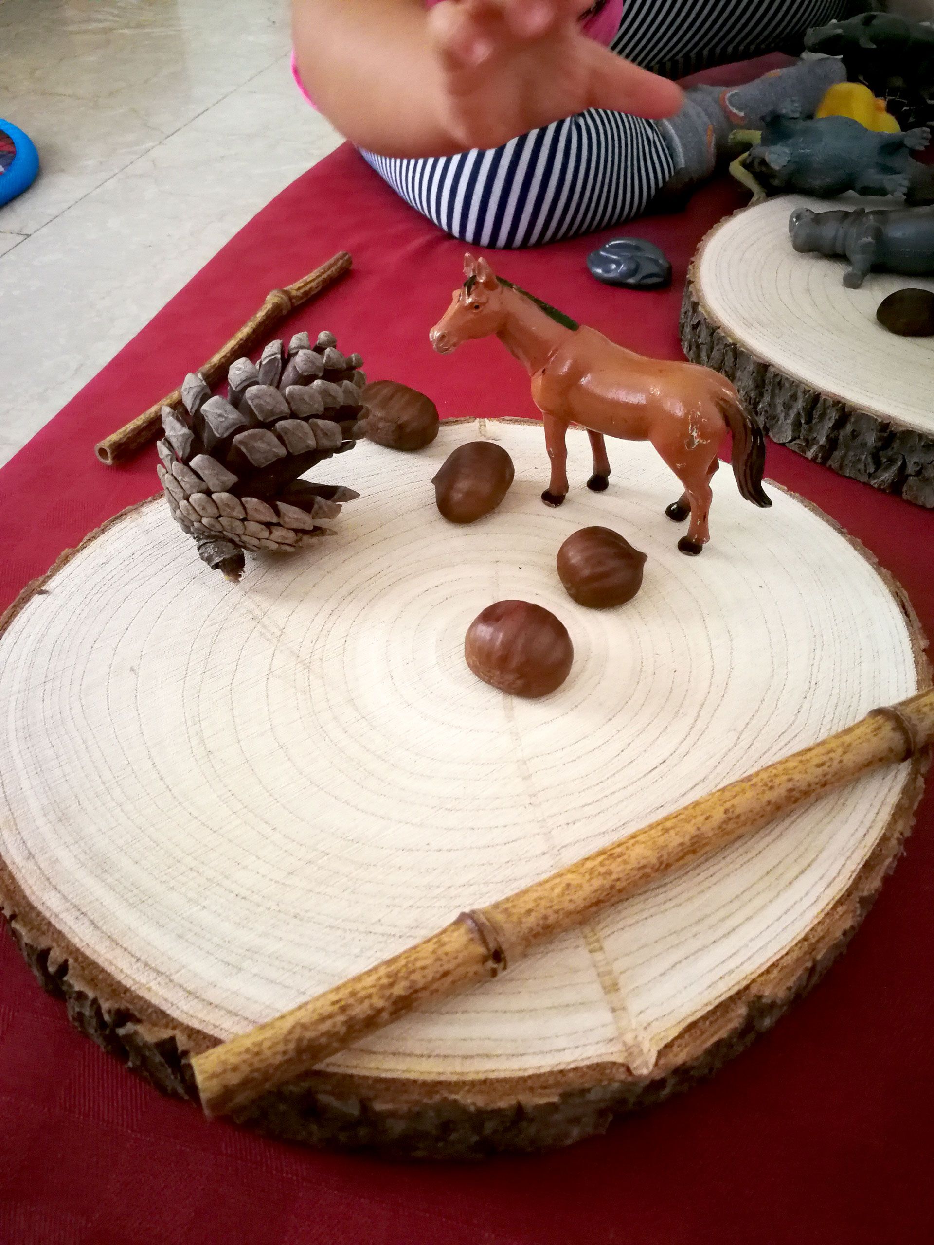 Attività per apprendere