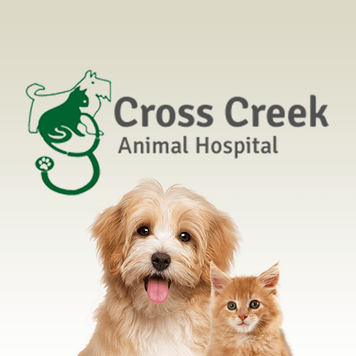 Vet Clinic in Fayetteville & Fort Bragg, NC Animal Hospital