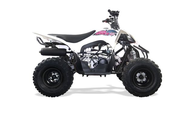 Spider deals quad bike