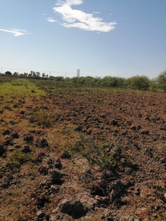 INMOBILIARIA VENZA PLUS BIENES RAICES