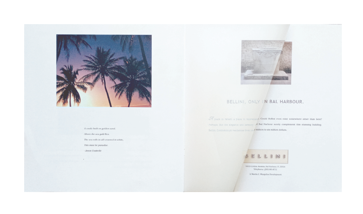 A book is open to a page with a picture of palm trees on it.