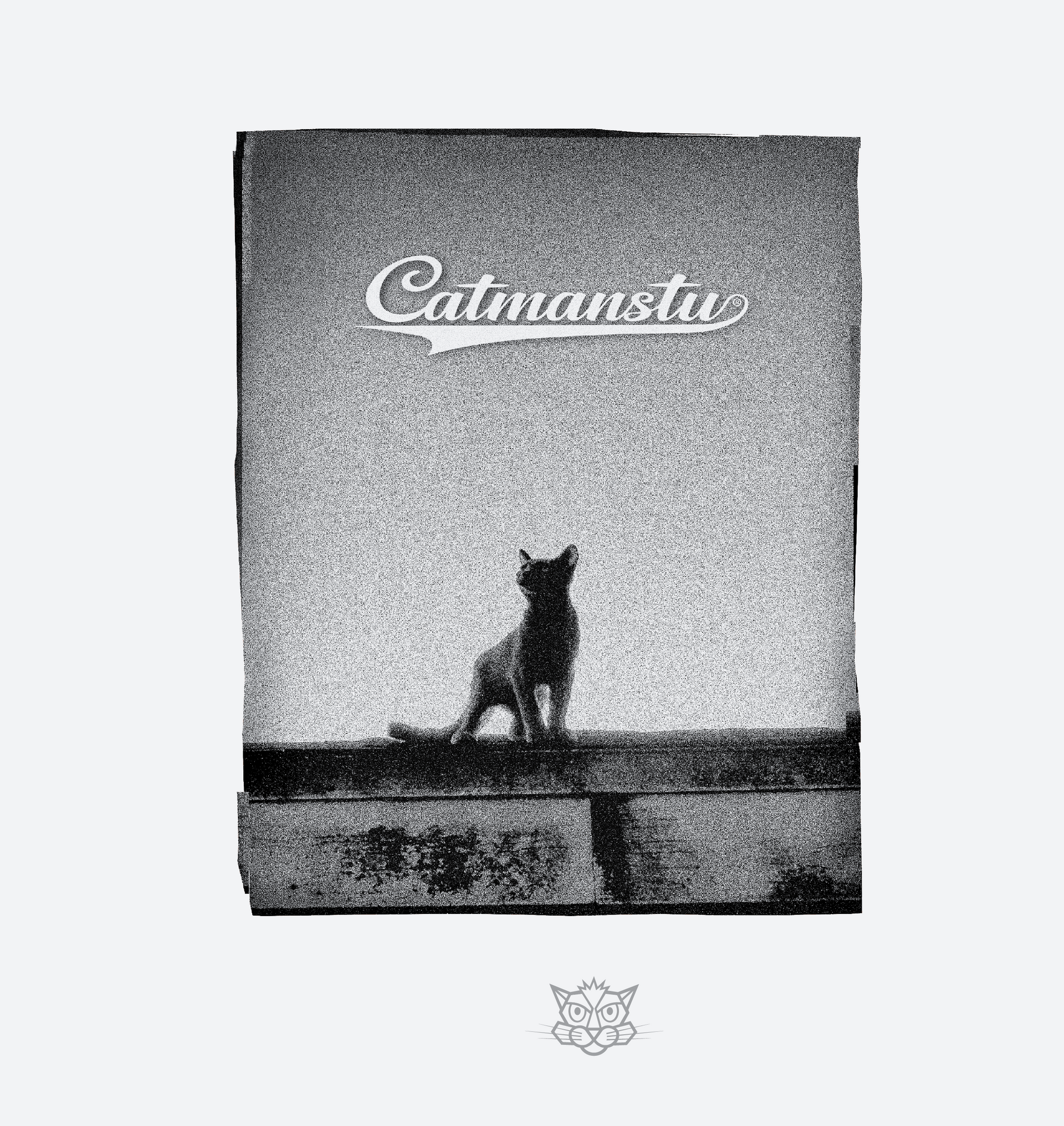 A black and white image of a cat sitting on a wall looking up at the logo Catmanstu