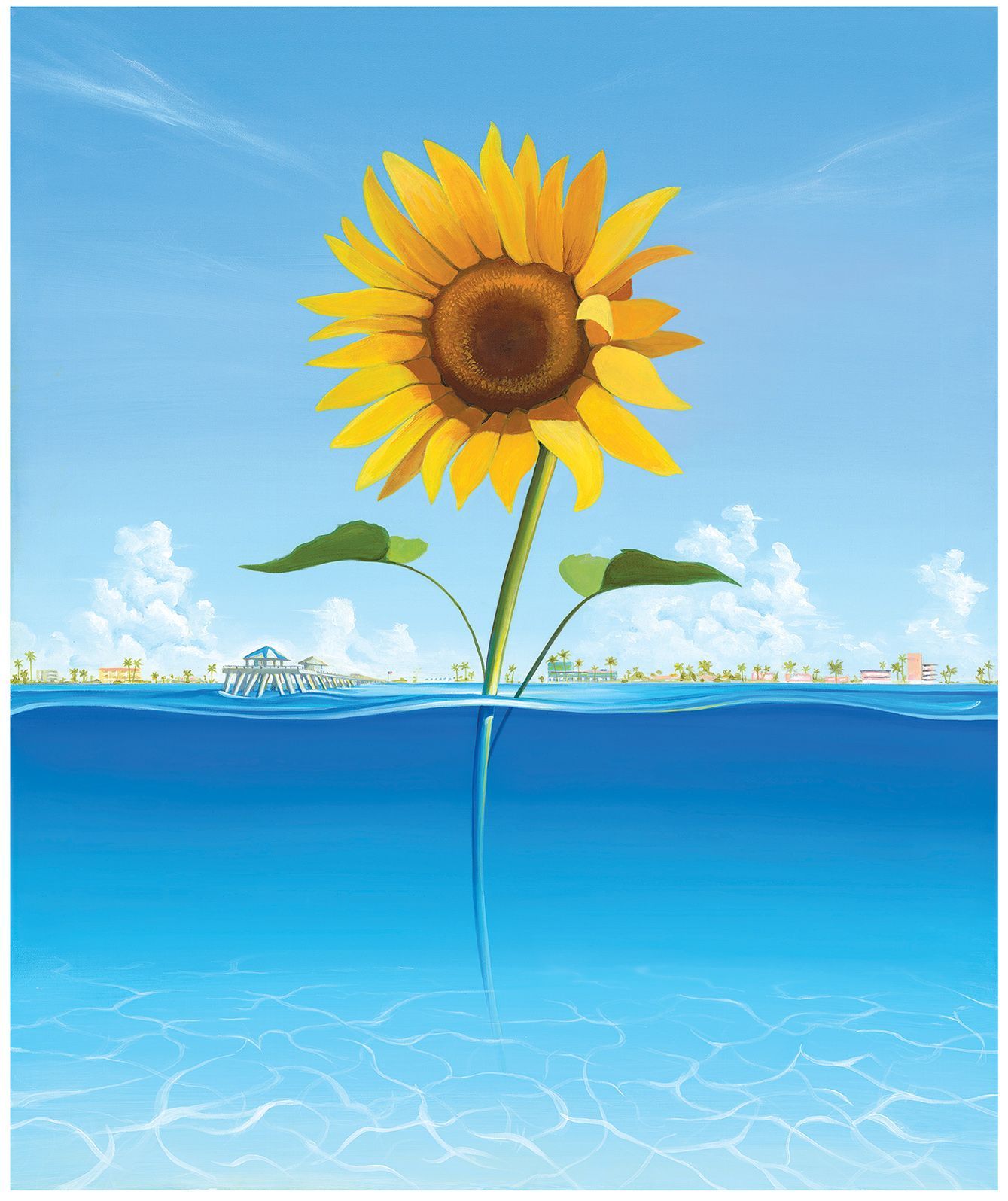 A sunflower is growing out of the water