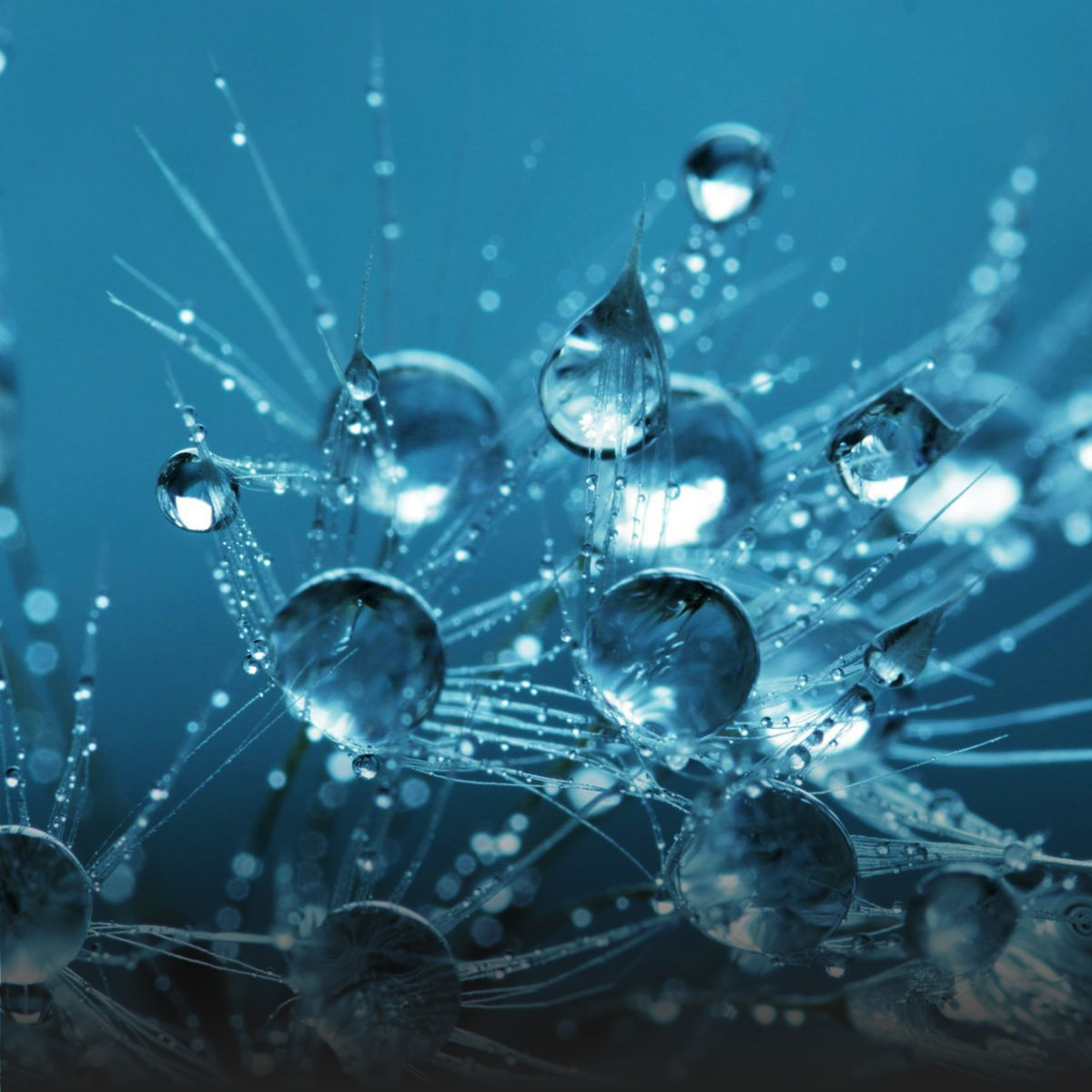 A group of people are sitting around a table shaking hands.