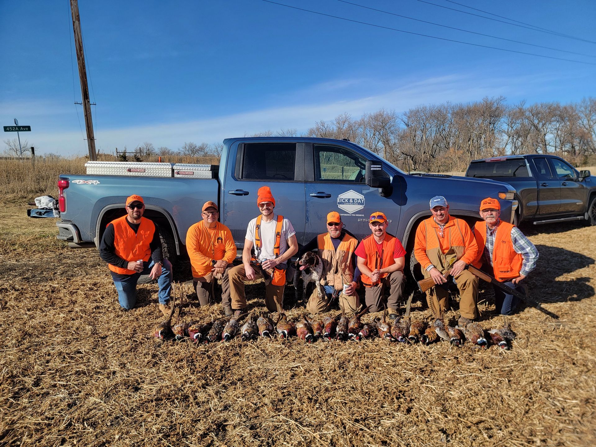 Pheasants in SD