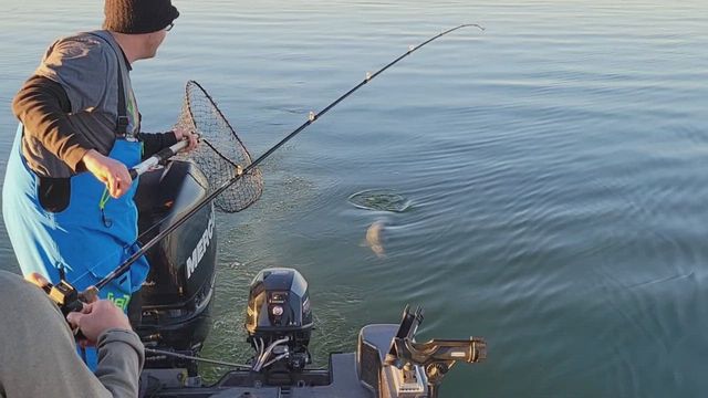 a17 fishing lure Diamond Jigs – J & J Sports Inc.-Bait & Tackle-Fishing Long Island Best Casting Bass Rod Style:Style 8 Series-Name__Cavalla and Glow and are