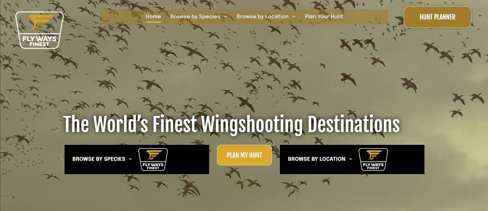 quality wingshooting outfitters
