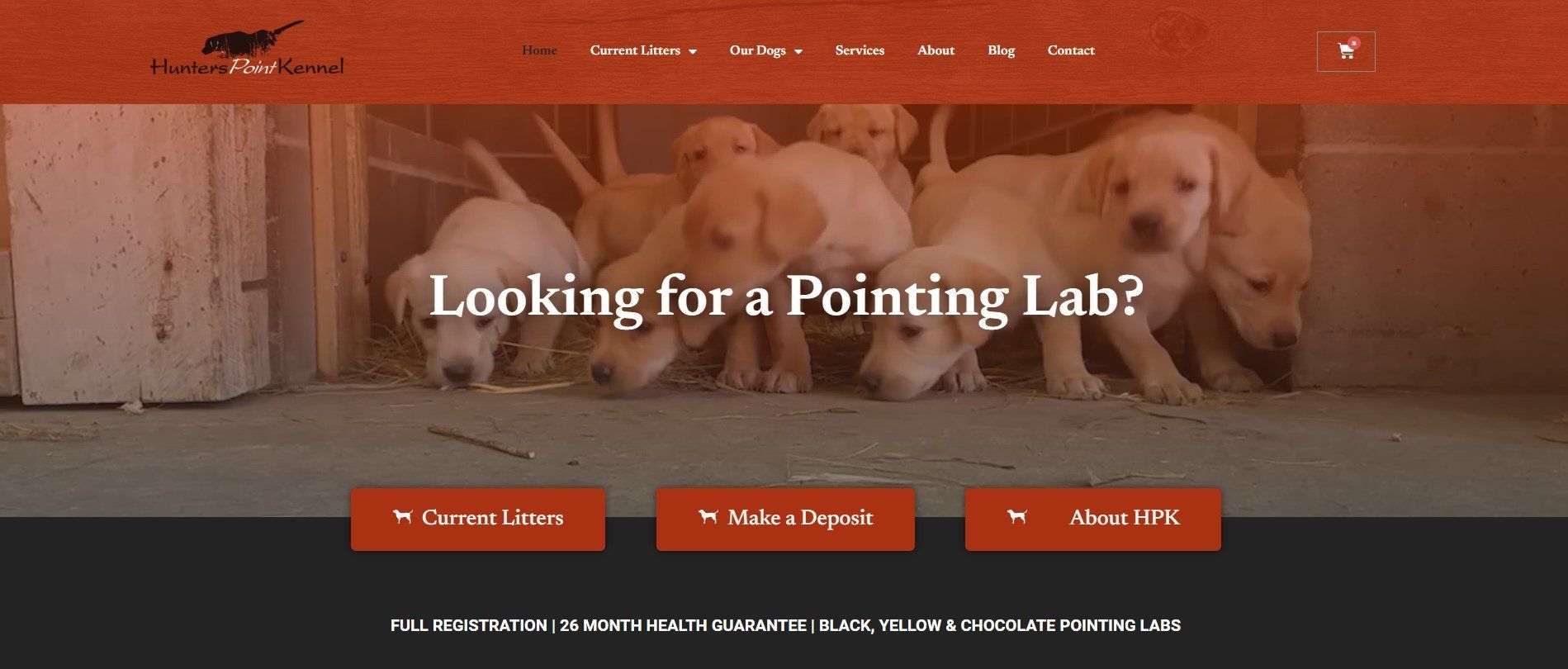 Hunters Point Kennel Pointing Labs