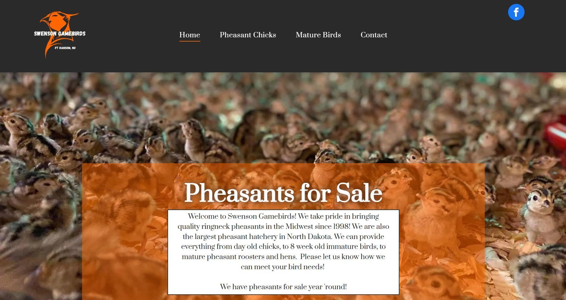 pheasants for sale ND