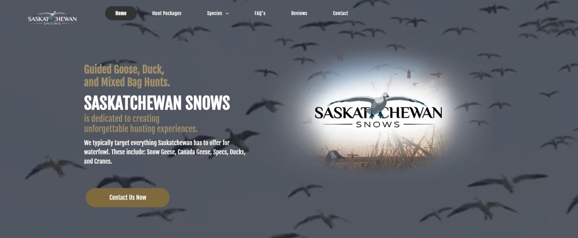 Saskatchewan Snow Goose Guide