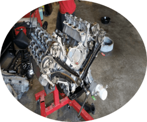 Frank's Automotive & Performance Gallery Image