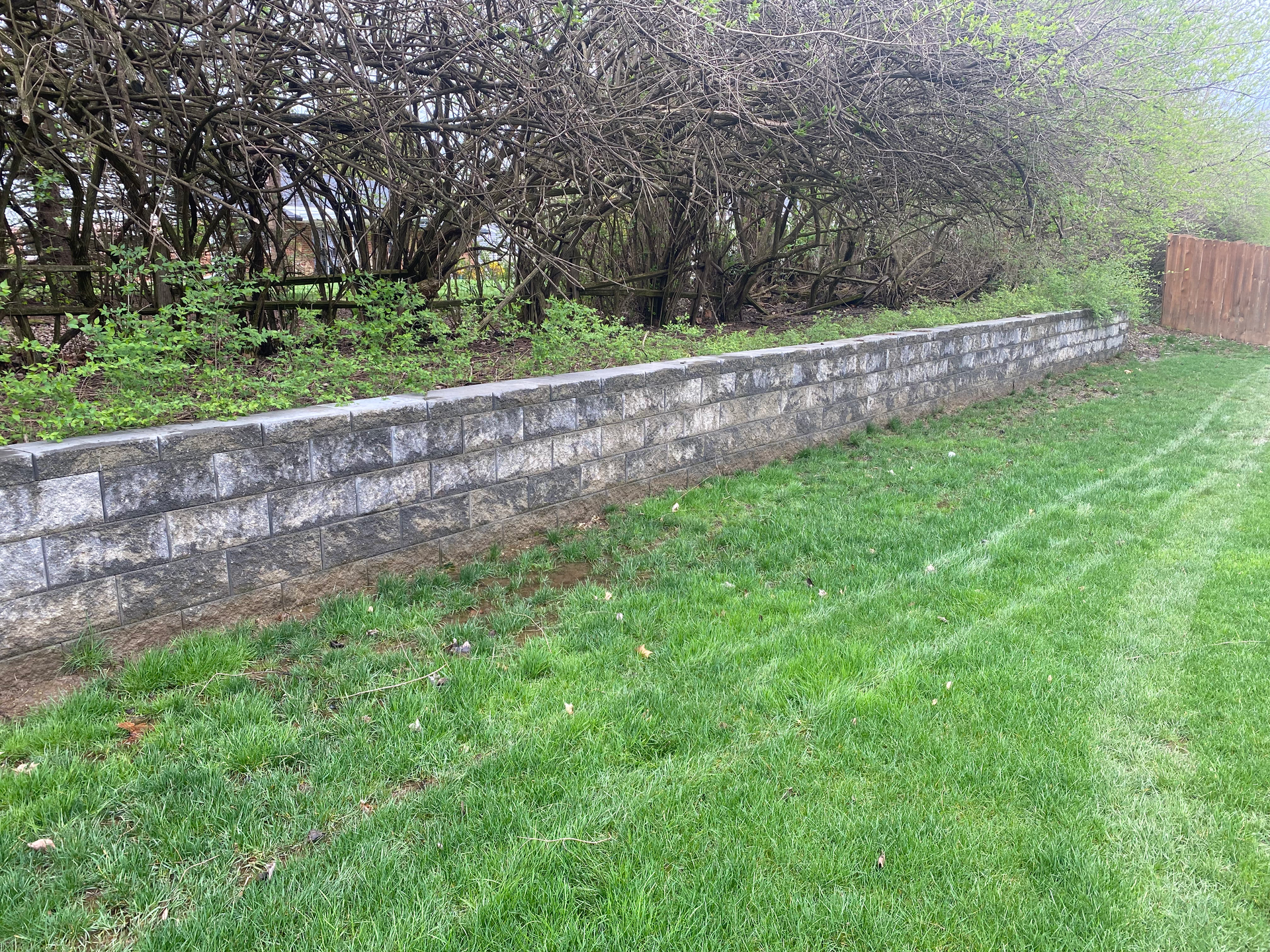 There is a stone wall in the middle of a lush green field.