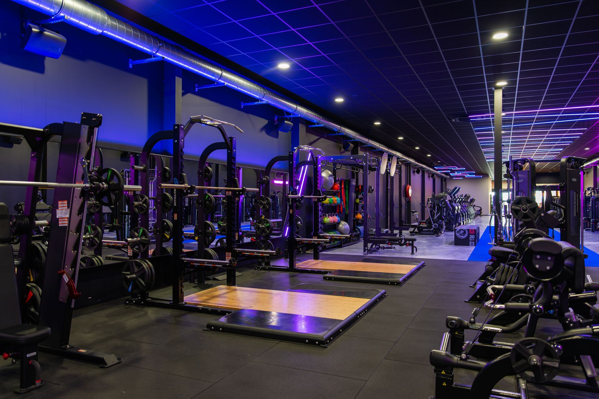 een sportschool vol met veel fitnessapparatuur en een blauw plafond.