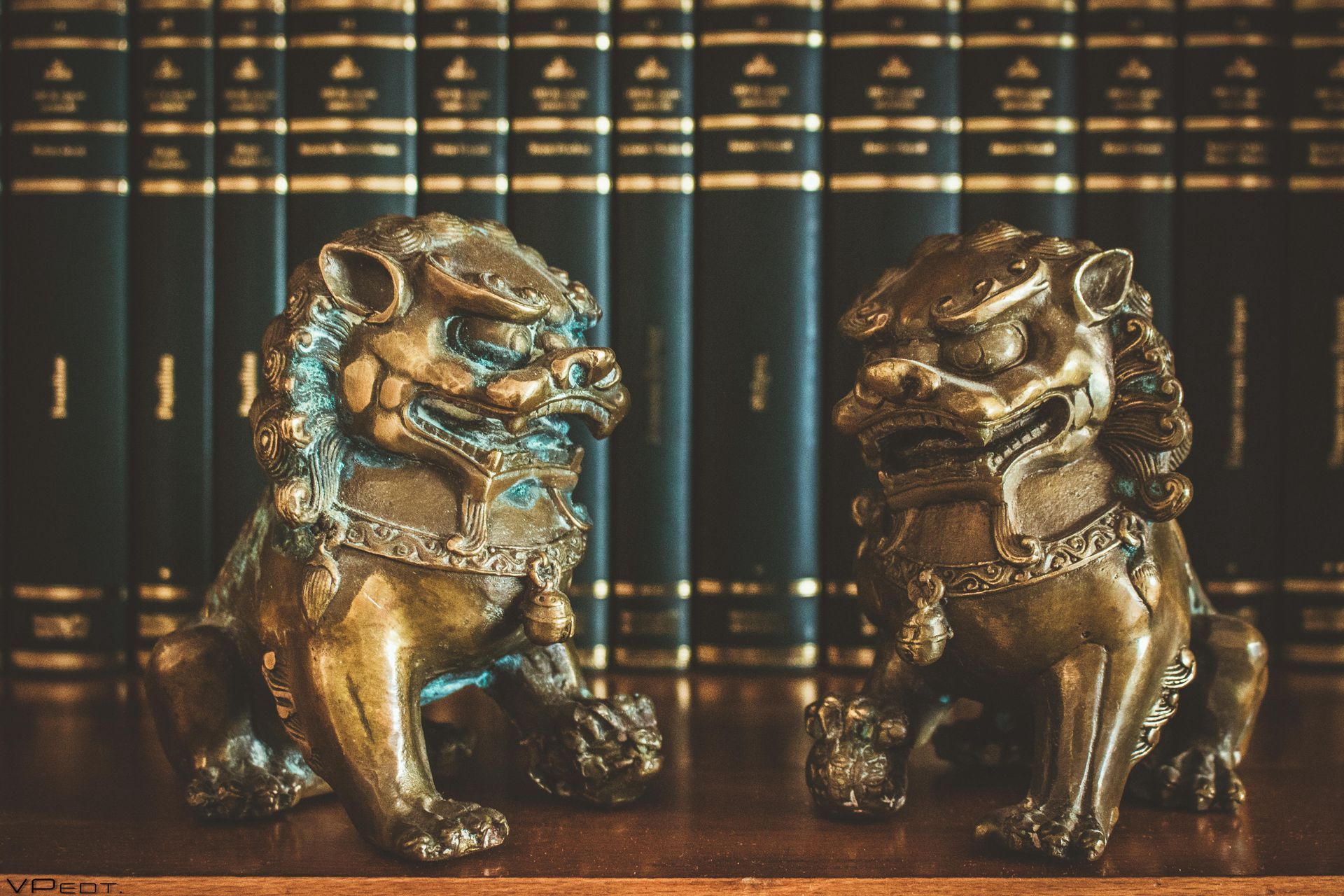 Two statues of lions are sitting on a table in front of a row of books.