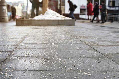 Sidewalk covered with scattered de-icing pellets, with pedestrians walking in the background. A pile of snow is visible near a tree, suggesting winter weather conditions.