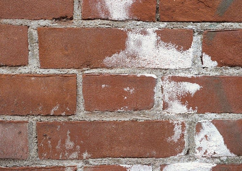 Close-up of a red brick wall with white efflorescence deposits on the surface. The powdery white stains are caused by soluble salts migrating to the surface due to moisture movement through the masonry.