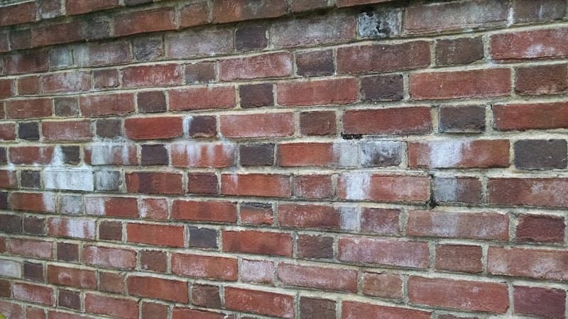Brick wall with visible efflorescence caused by insufficient rinsing, showing white salt deposits and moisture-related staining.