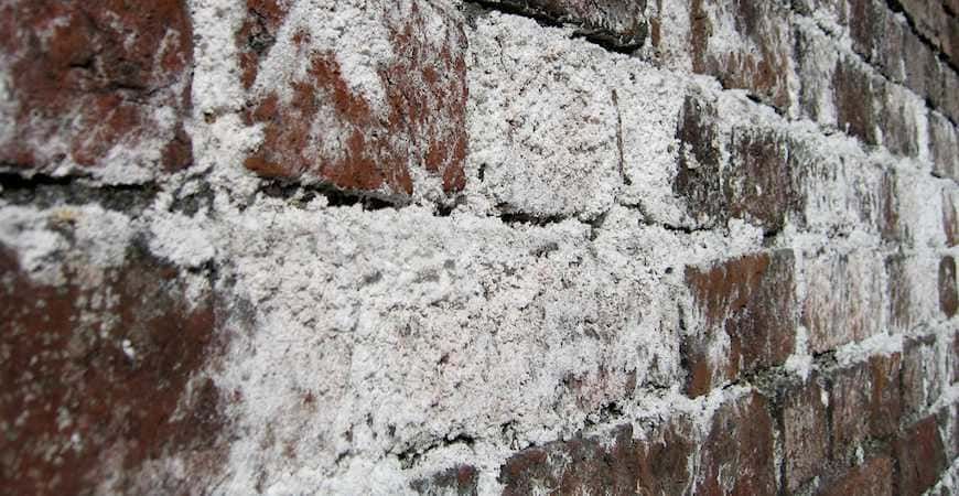 Close-up of a brick wall heavily affected by efflorescence, with thick white salt deposits covering 