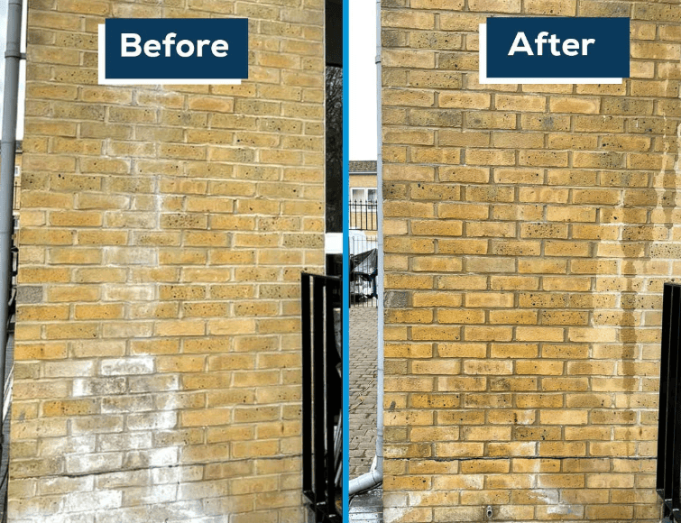 Before and after photo of efflorescence on a brick wall caused by moisture migrating through masonry and mortar joints.
