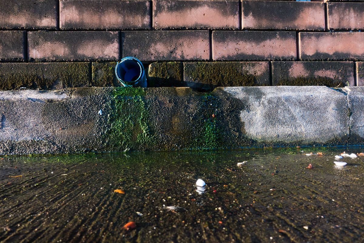 Improper drainage from a wall pipe causing moisture stains, algae growth, and water pooling. This is a major contributor to brick deterioration and structural damage in masonry facades.