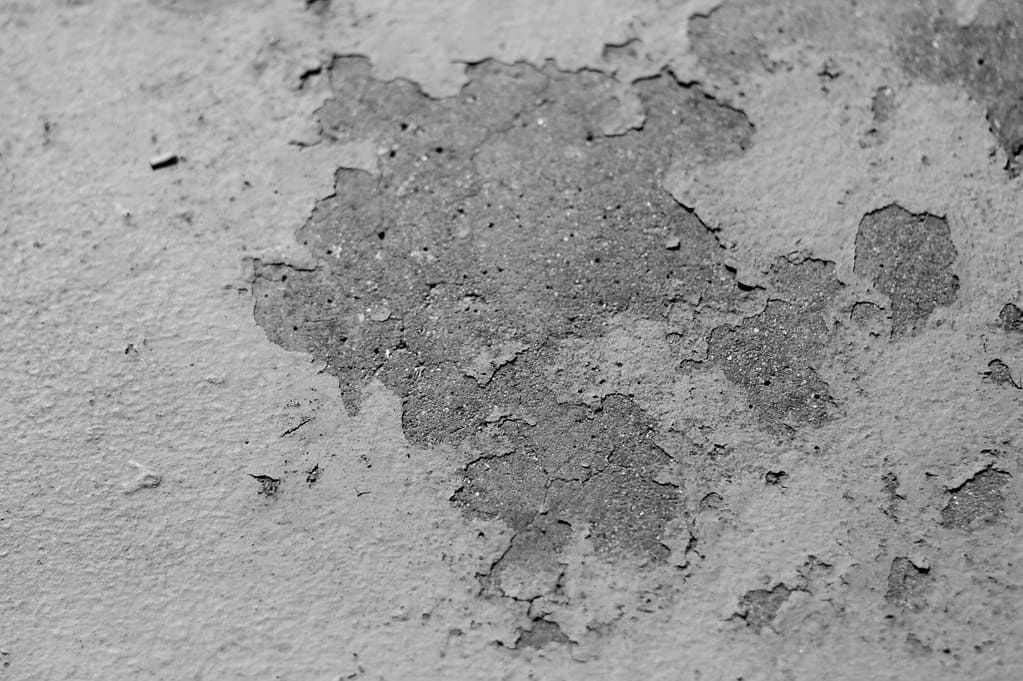Peeling exterior coating on concrete caused by improper curing conditions.