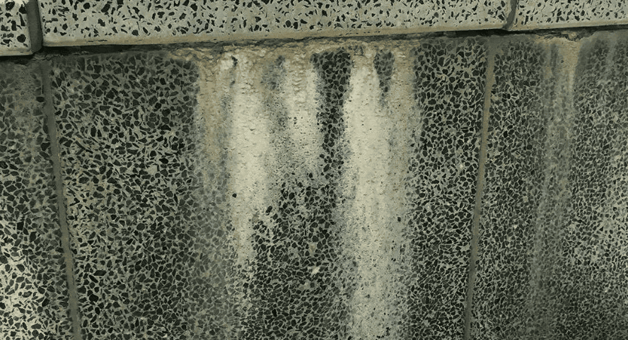 Lime deposits Chicago masonry caused by winter freeze–thaw cycles.