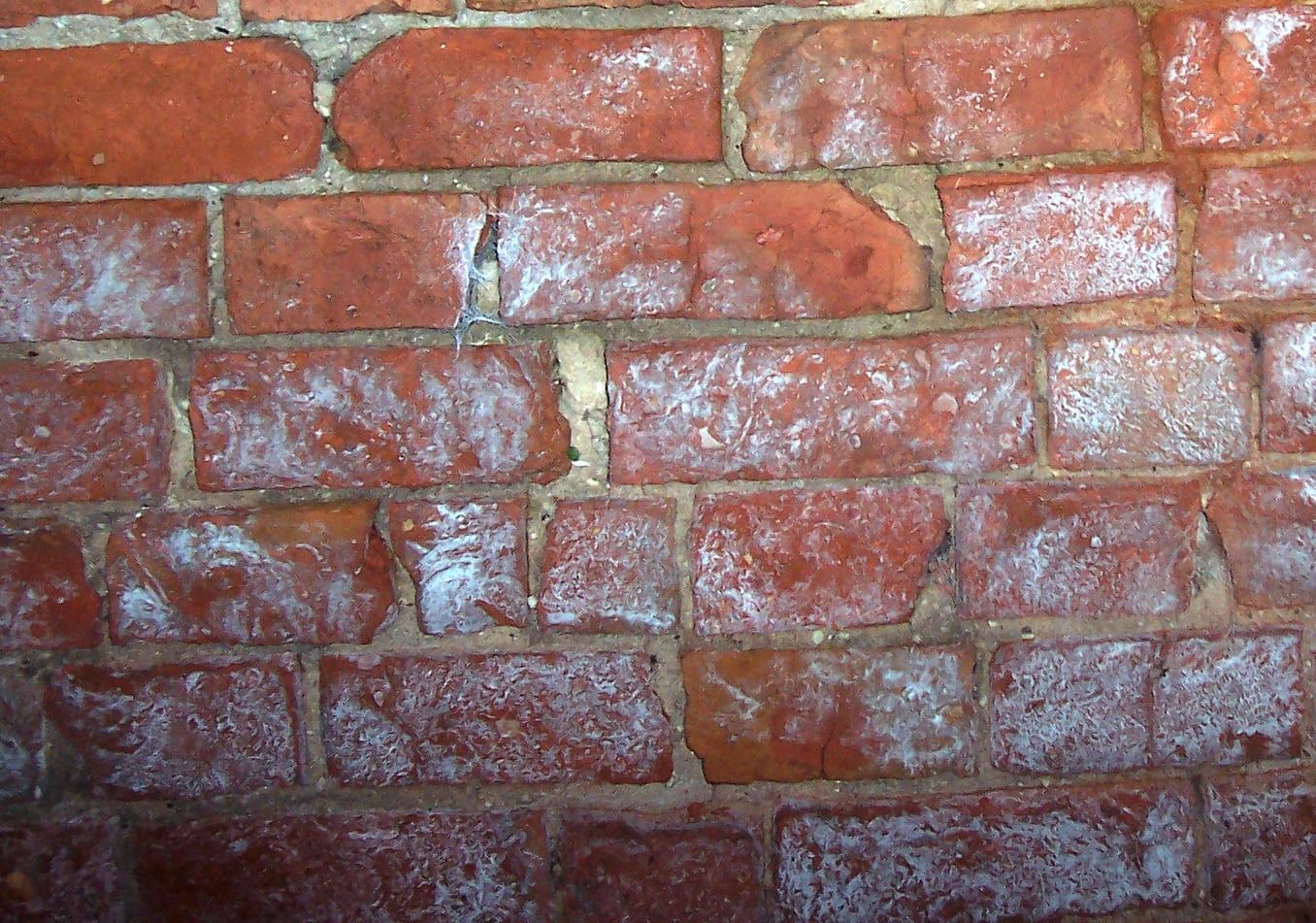 Close-up of red brick facade showing spalling and white efflorescence deposits caused by moisture infiltration. A warning sign of potential masonry deterioration.