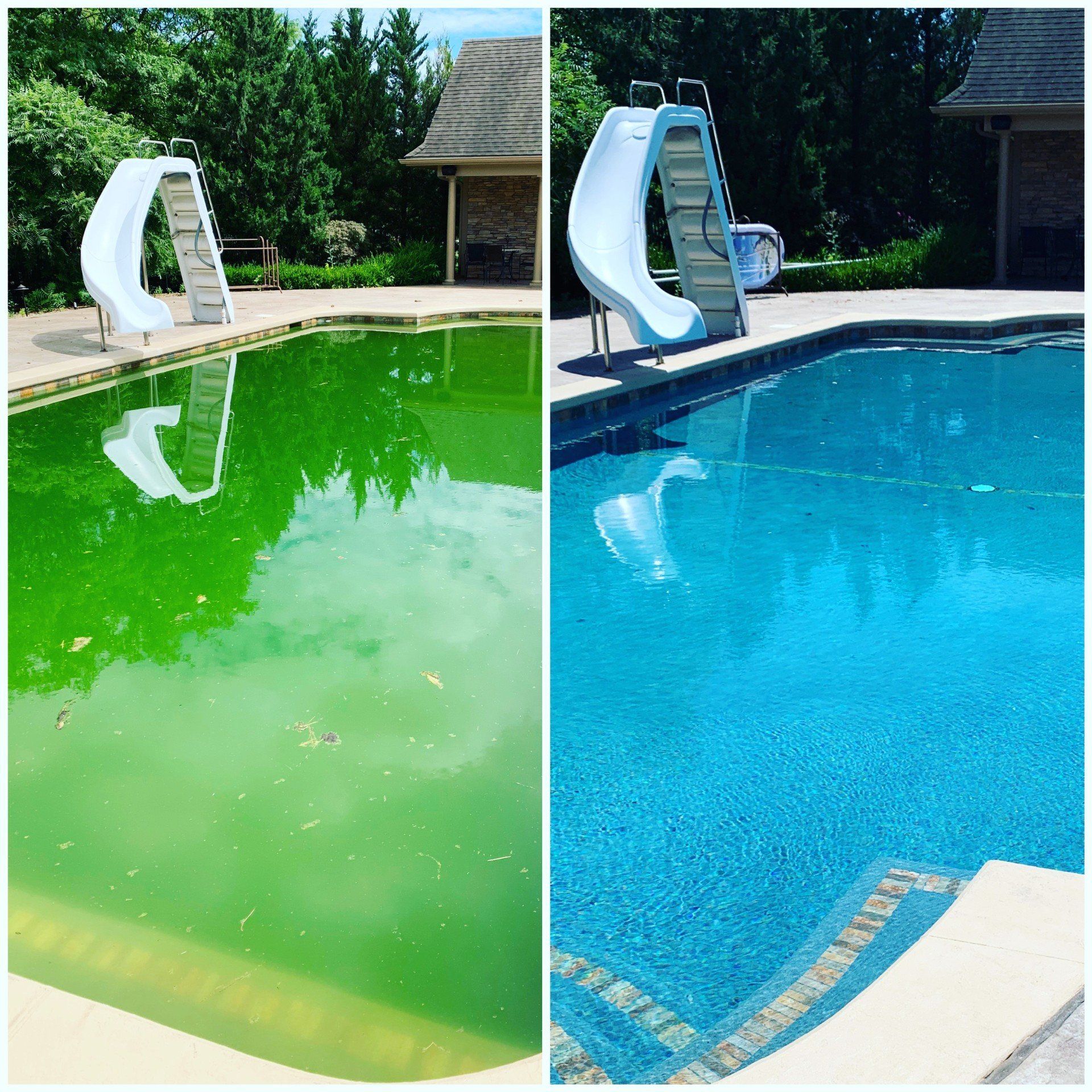 A pool that went from green to blue