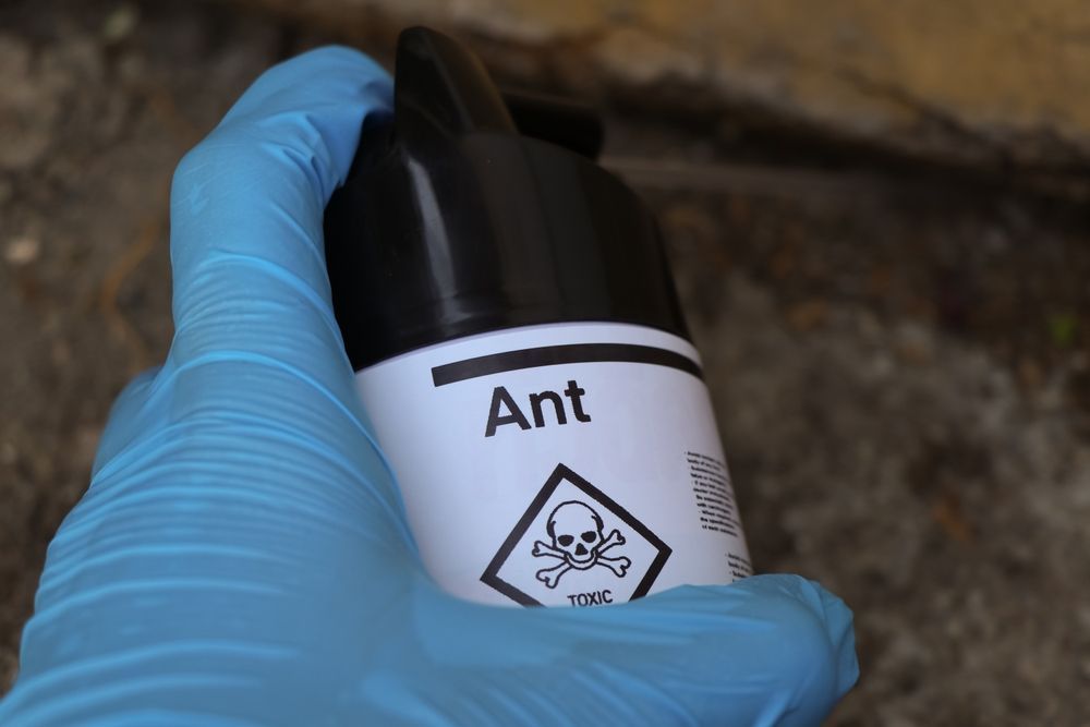 Hand in blue glove holding ant spray with skull and crossbones warning symbol.