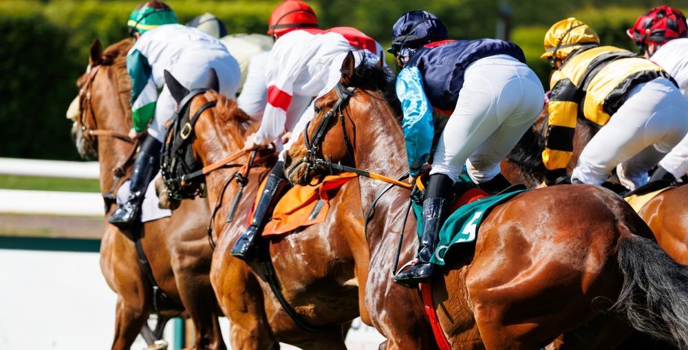 Racehorses with jockeys in colorful silks compete on a track.