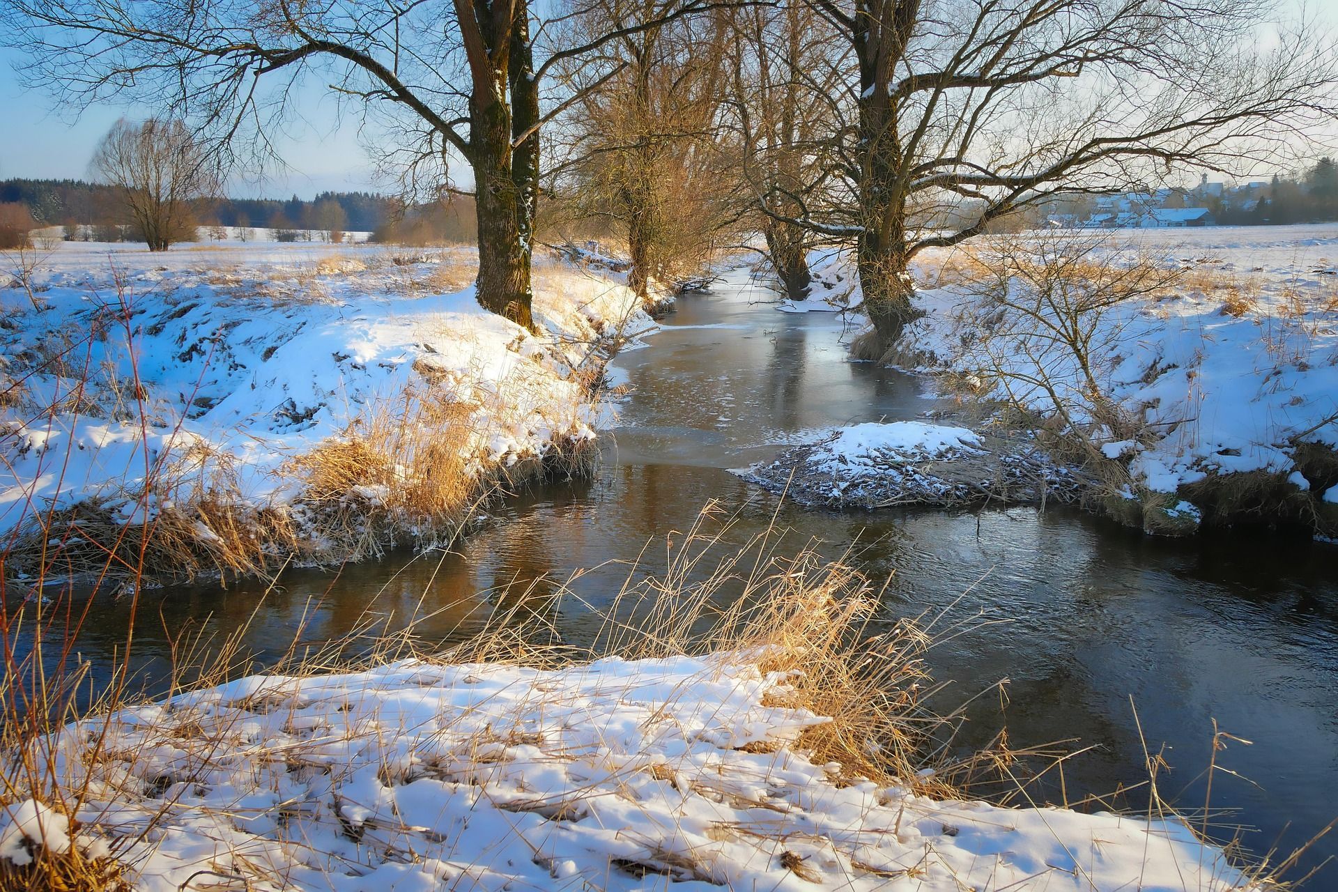 Snowy winter scene with a stream running through a field, flanked by trees.
