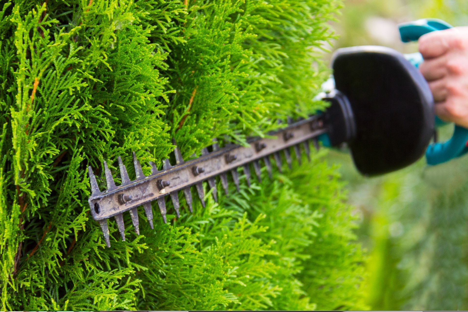 Property Maintenance Hampstead Gardens