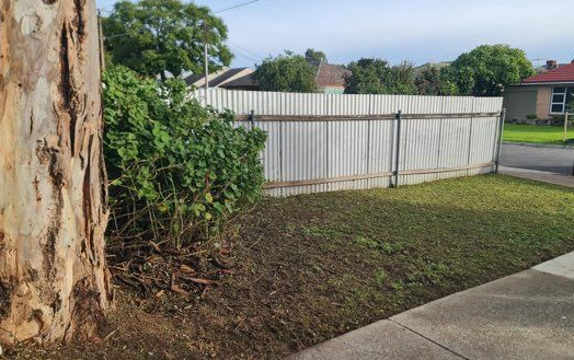 Yard Clean Up Services In Hampstead Gardens Adelaide