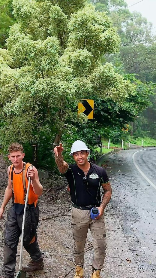 Two Men Are Walking Down a Dirt Road Next to A Tree — Hinterland Tree & Stump Removal in Palmview, QLD
