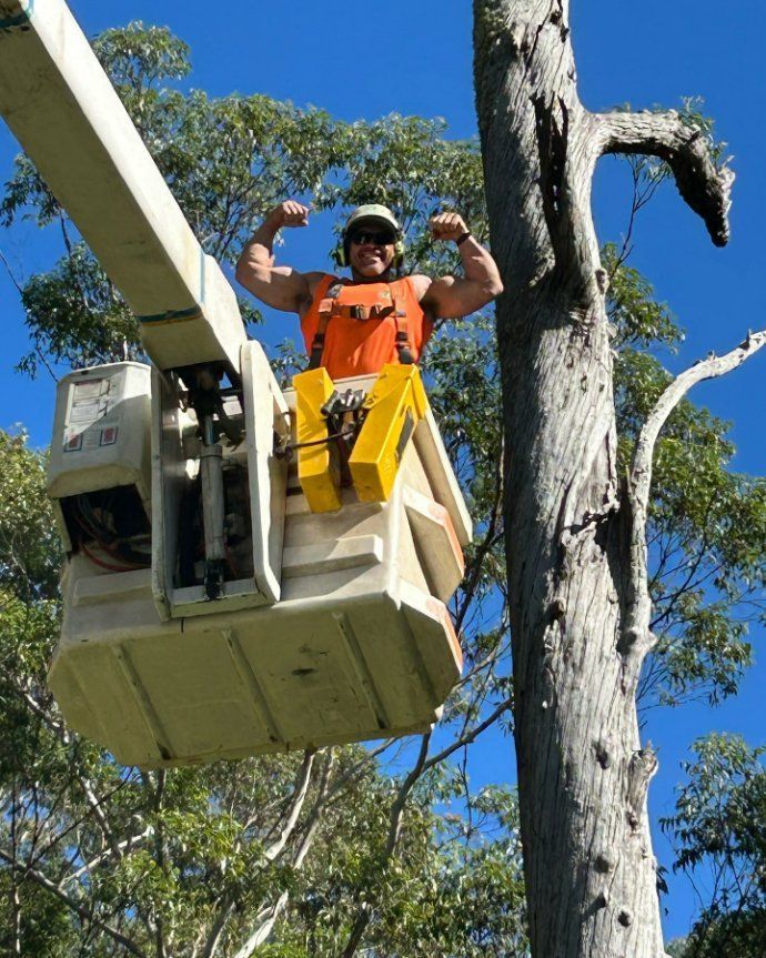 A Man Is Sitting in A Bucket on A Crane and Flexing His Muscles — Hinterland Tree & Stump Removal in Palmview, QLD