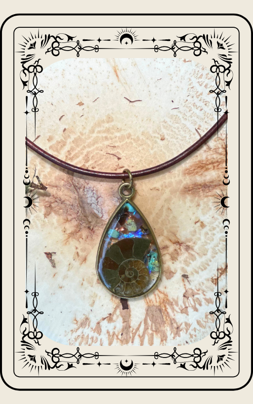 Necklace with iridescent ammonite pendant on brown cord. Beige card border.