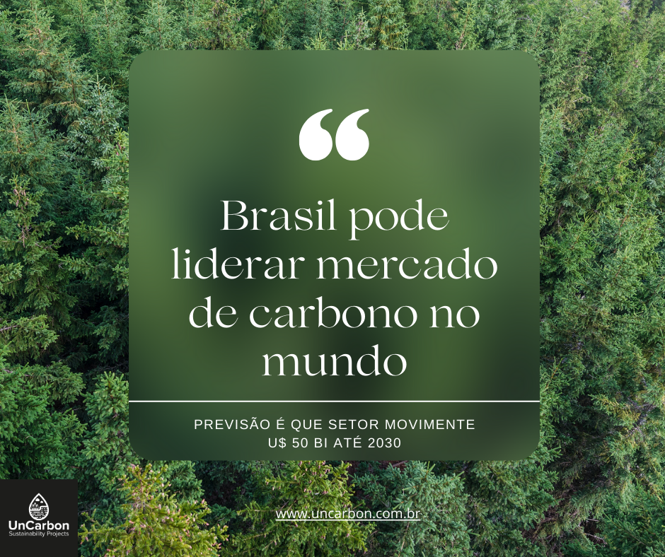 Brasil pode liderar o mercado de Carbono no Mundo