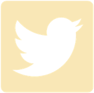 Twitter Logo Yellow